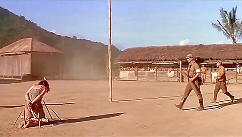 Captured By The Japanese
