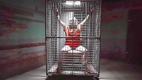 Cell In Cell Cell In Cell